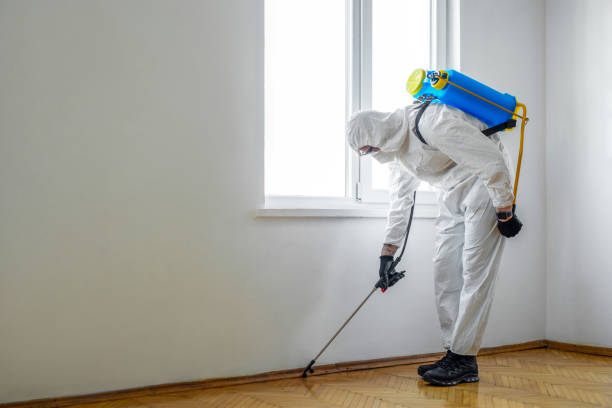 Best Flea Control Services  in Nicholson, MS