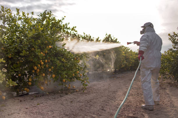 Best Wildlife Control Services  in Nicholson, MS