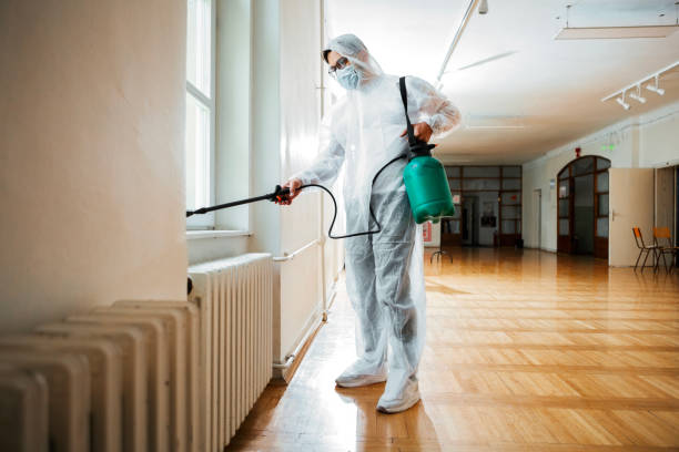 Best Affordable Pest Control Services  in Nicholson, MS
